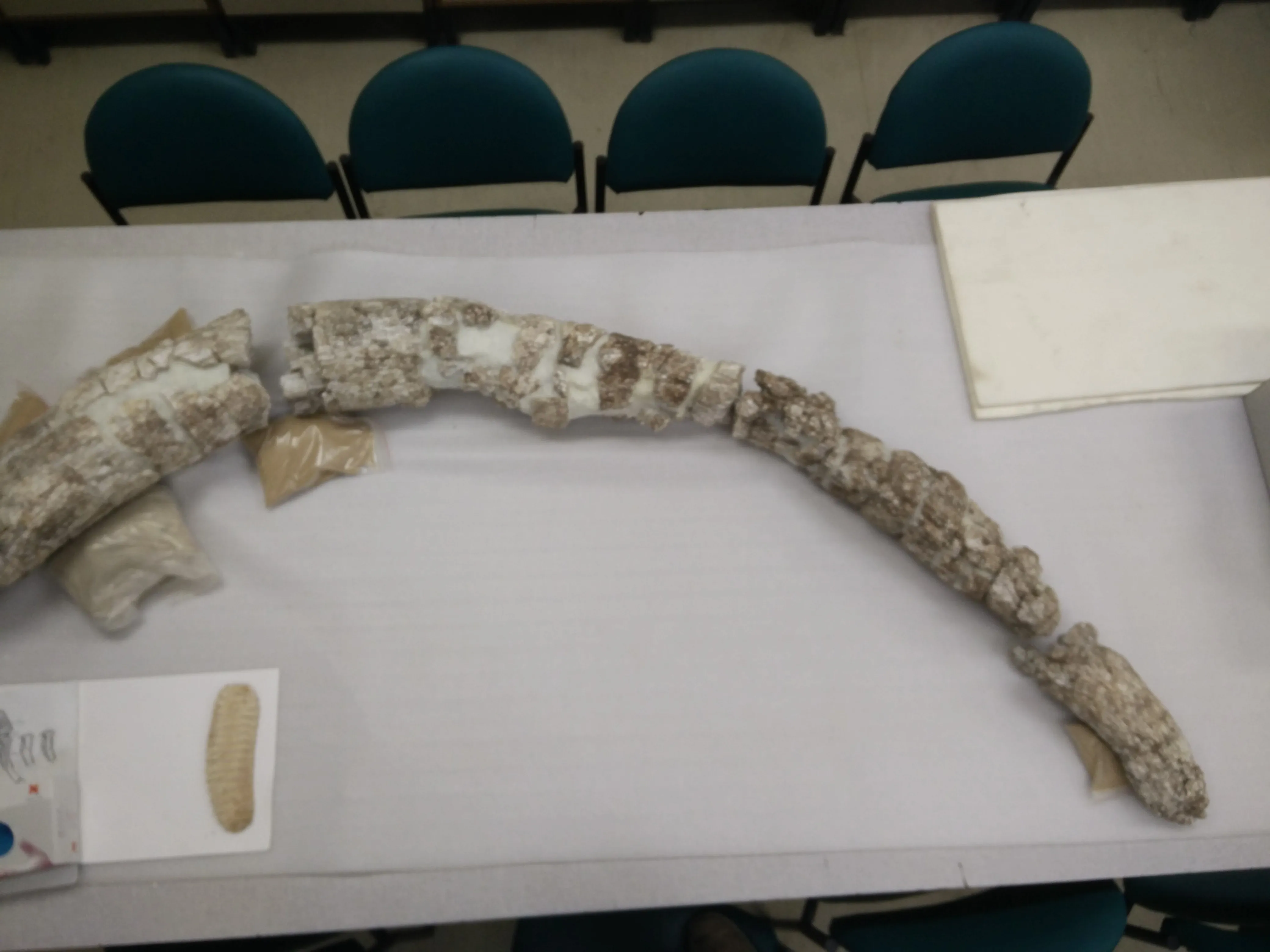 Main view from Preservation album