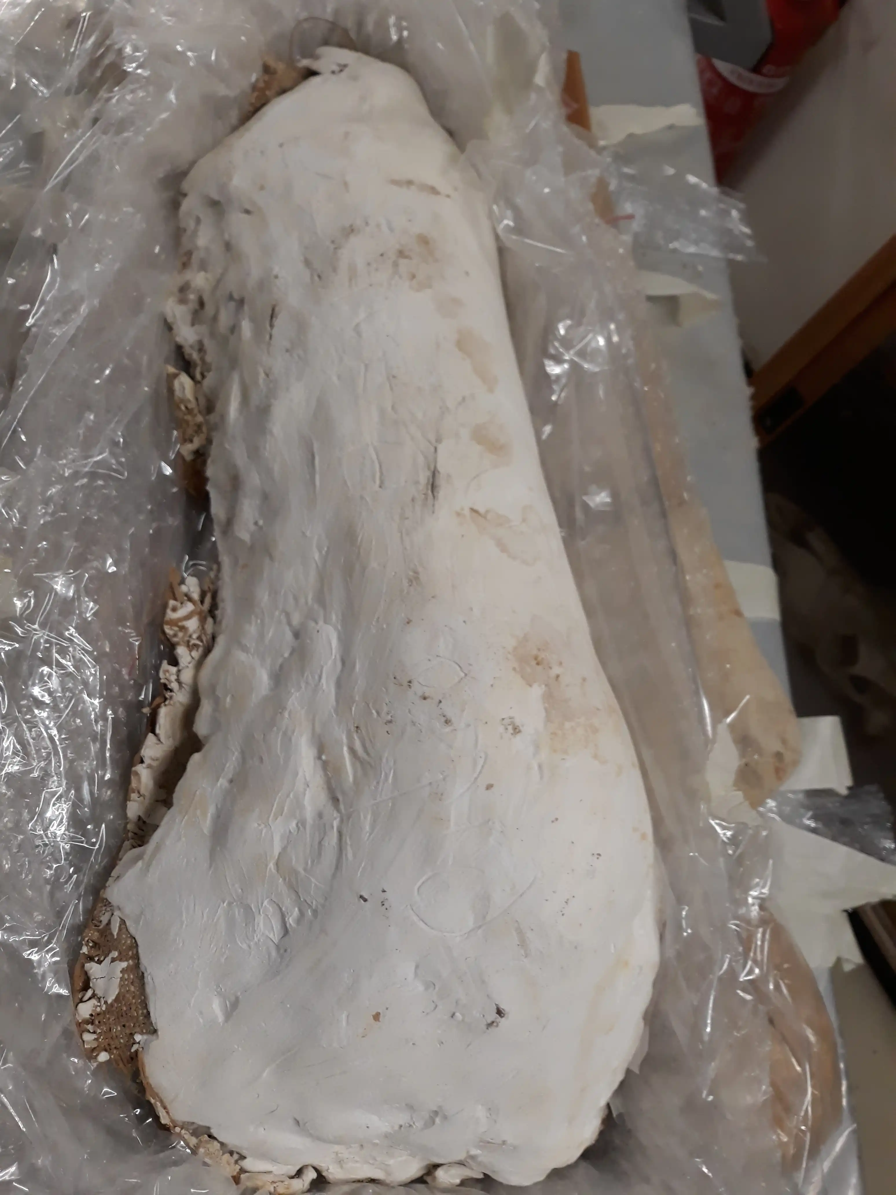 Image from Preservation album