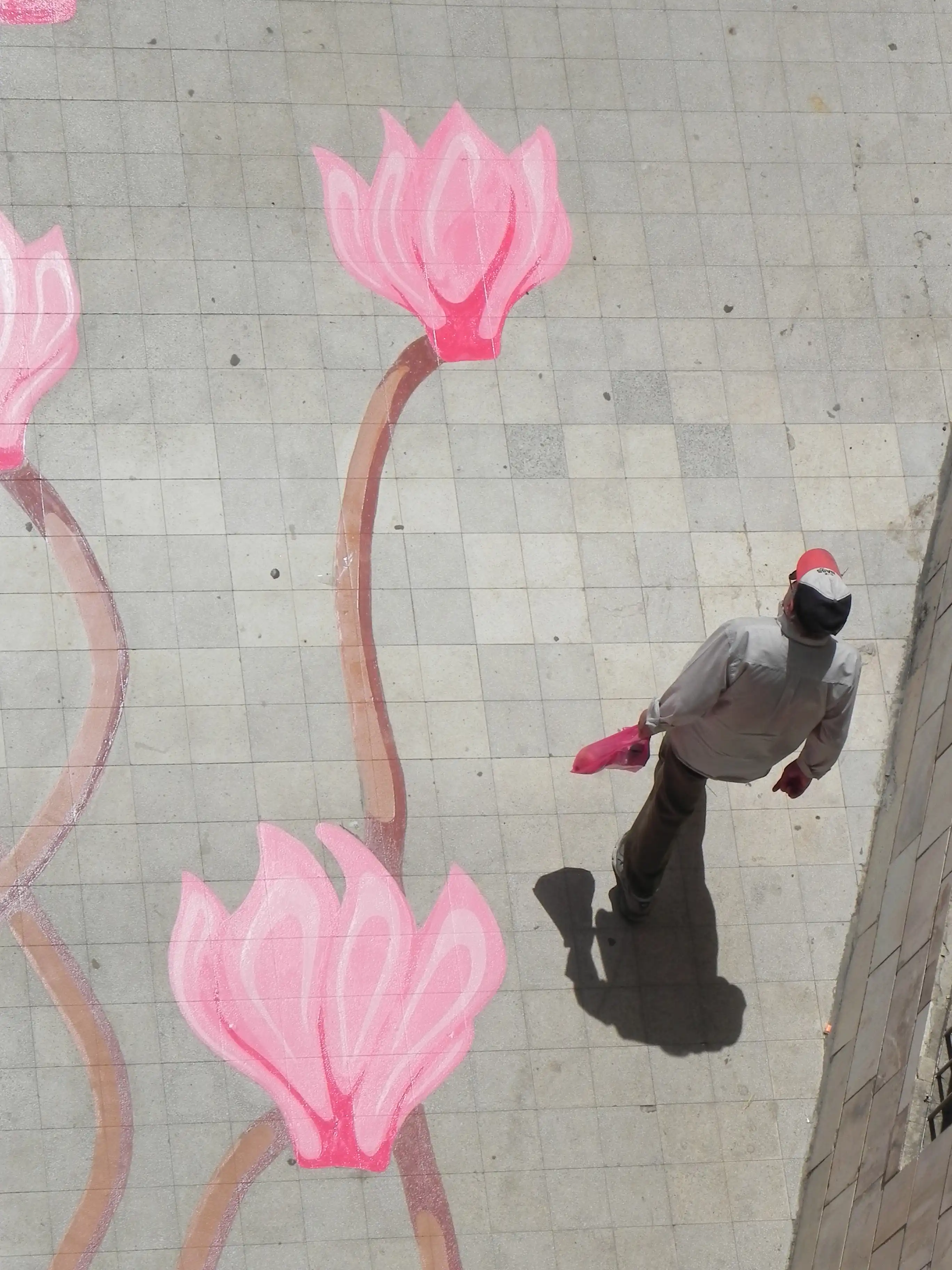 Image from Cyclamens Dance album