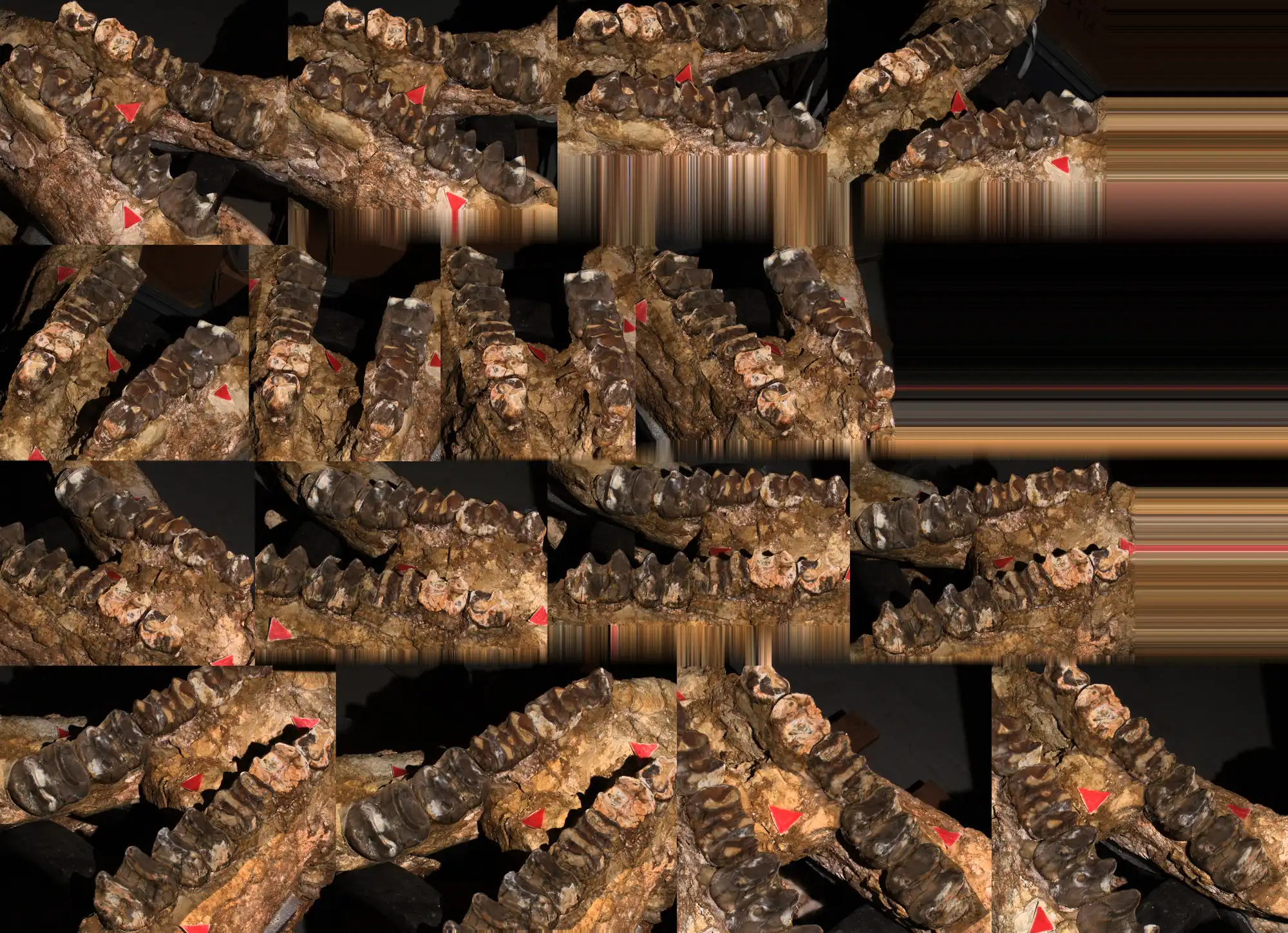 Image from Preservation album